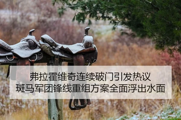 弗拉霍维奇连续破门引发热议 斑马军团锋线重组方案全面浮出水面