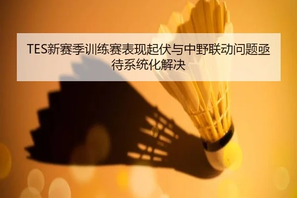 TES新赛季训练赛表现起伏与中野联动问题亟待系统化解决